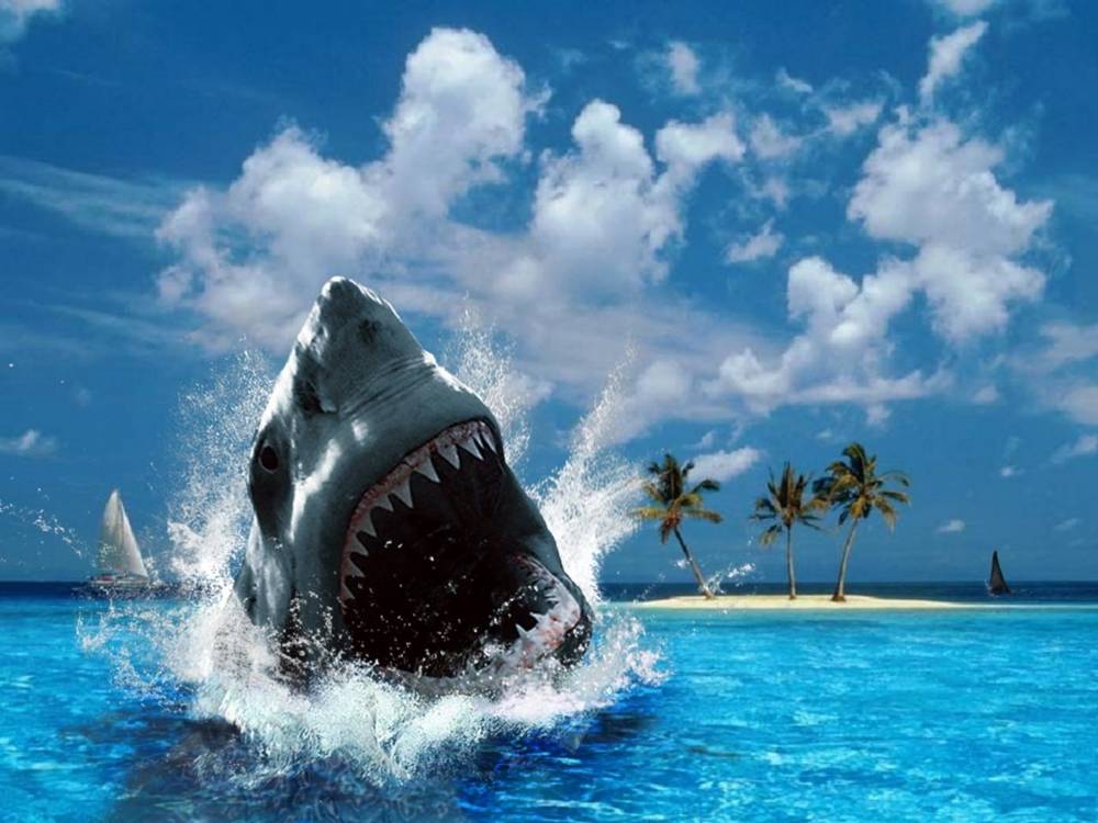 3D-HD-Wallpapers ภาพพื้นหลัง พักหน้าจอ No.15