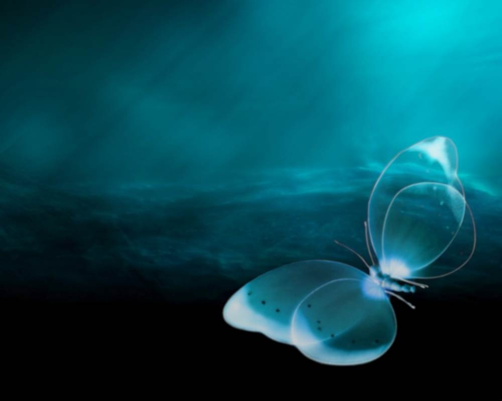 3D-HD-Wallpapers ภาพพื้นหลัง พักหน้าจอ No.15