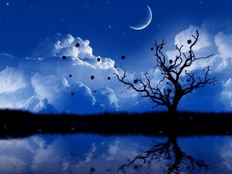 3D-HD-Wallpapers ภาพพื้นหลัง พักหน้าจอ No.16