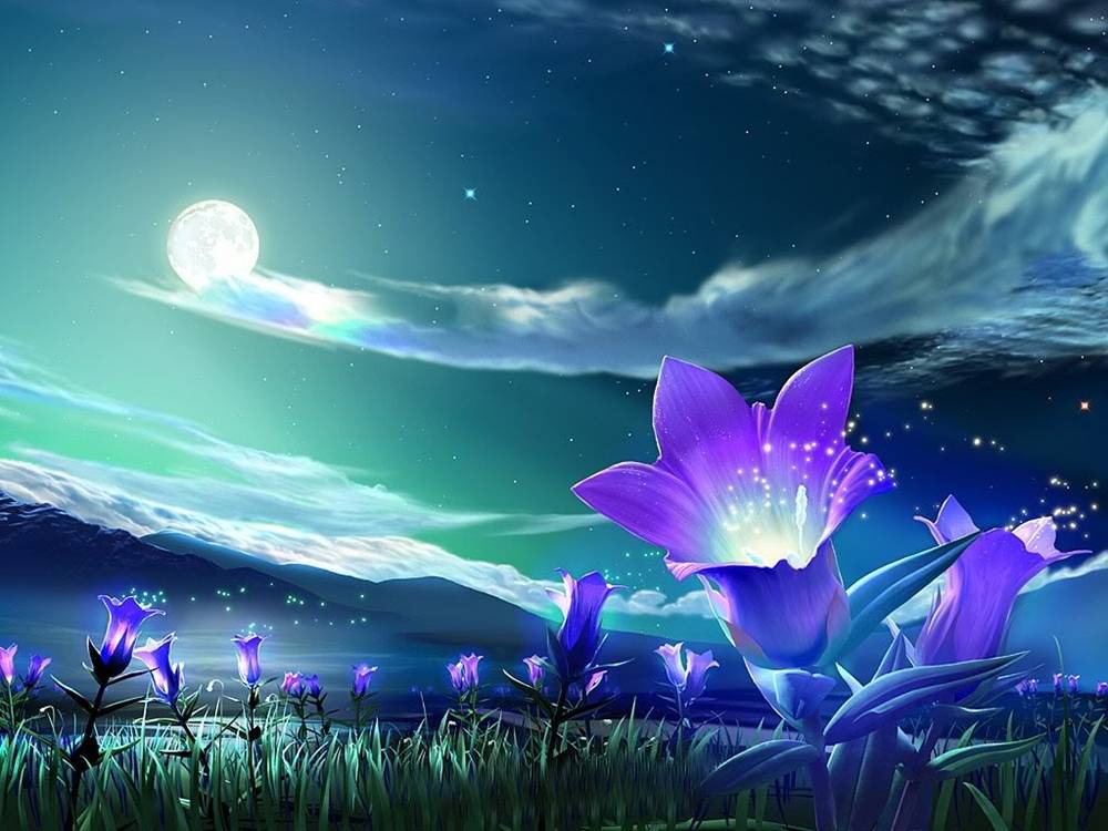 3D-HD-Wallpapers ภาพพื้นหลัง พักหน้าจอ No.16