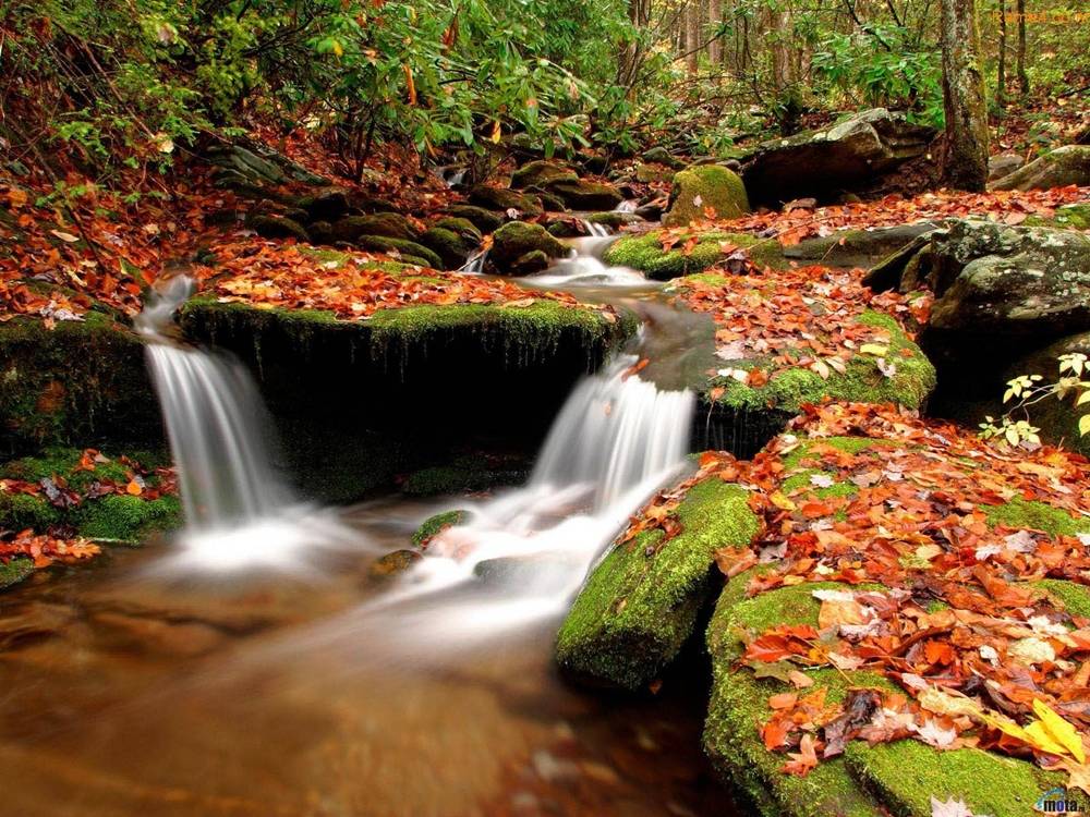 3D-HD-Wallpapers ภาพพื้นหลัง พักหน้าจอ No.16