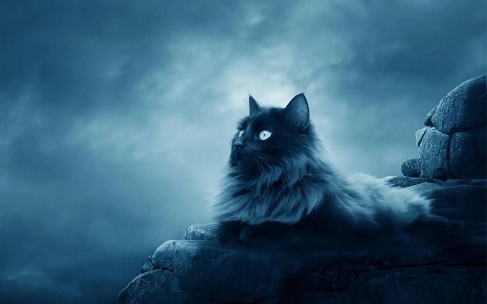 3D-HD-Wallpapers ภาพพื้นหลัง พักหน้าจอ No.16