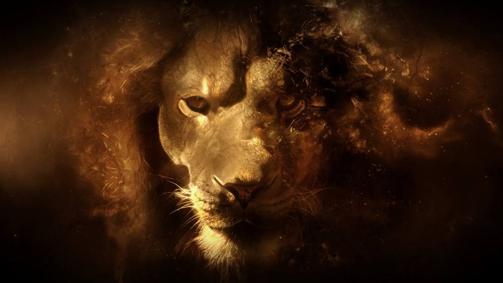 3D-HD-Wallpapers ภาพพื้นหลัง พักหน้าจอ No.17
