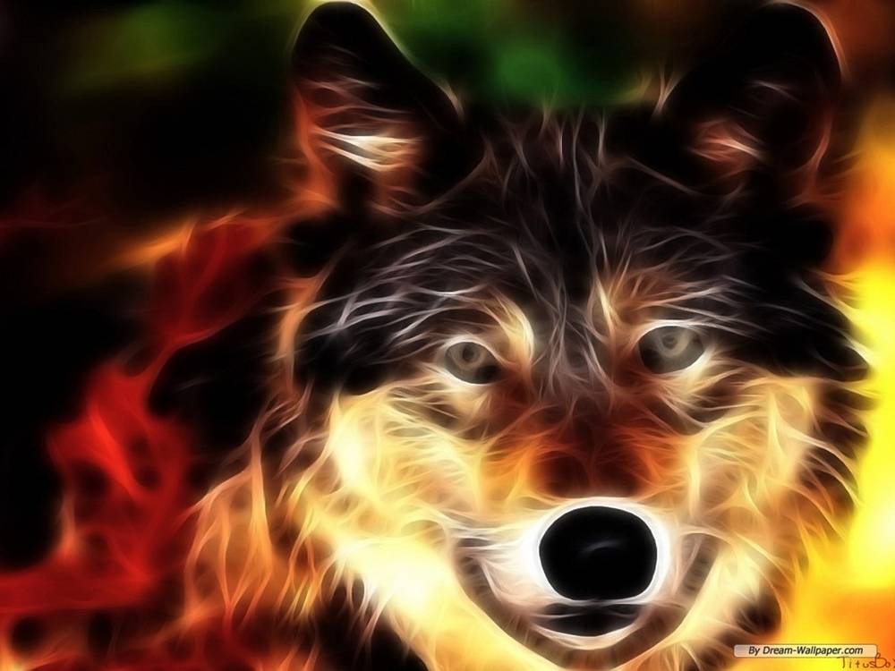 3D-HD-Wallpapers ภาพพื้นหลัง พักหน้าจอ No.17