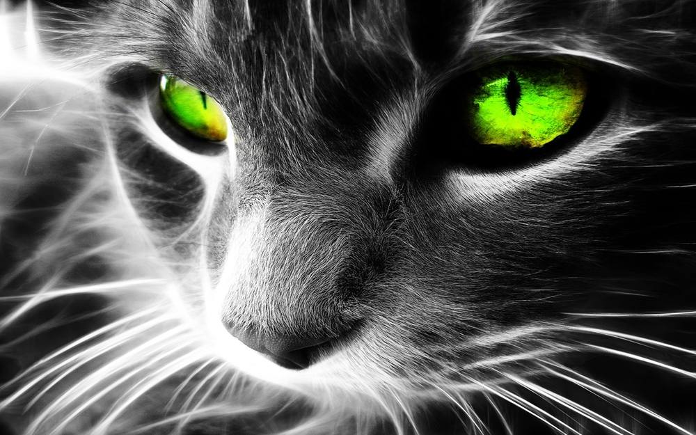3D-HD-Wallpapers ภาพพื้นหลัง พักหน้าจอ No.17