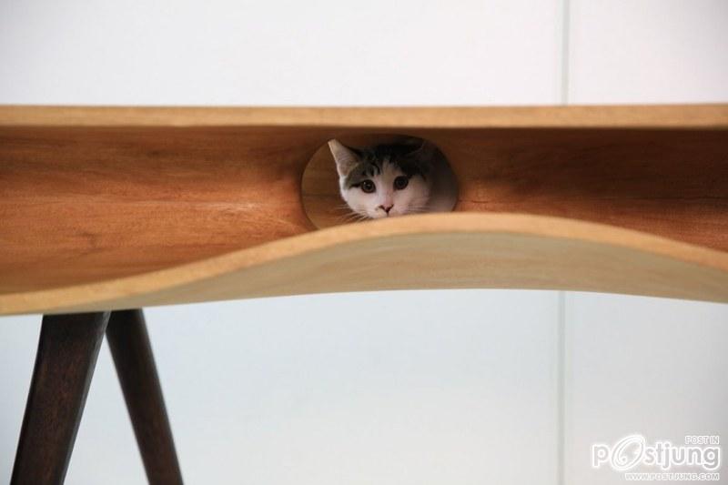 CATable- A table for Us and a Paradise for Cats by Ruan Hao