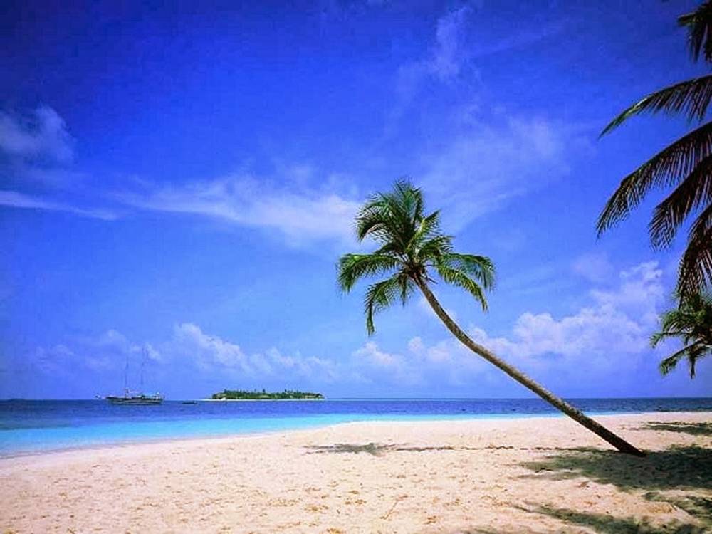 3D-HD-Wallpapers ภาพพื้นหลัง พักหน้าจอ No.18