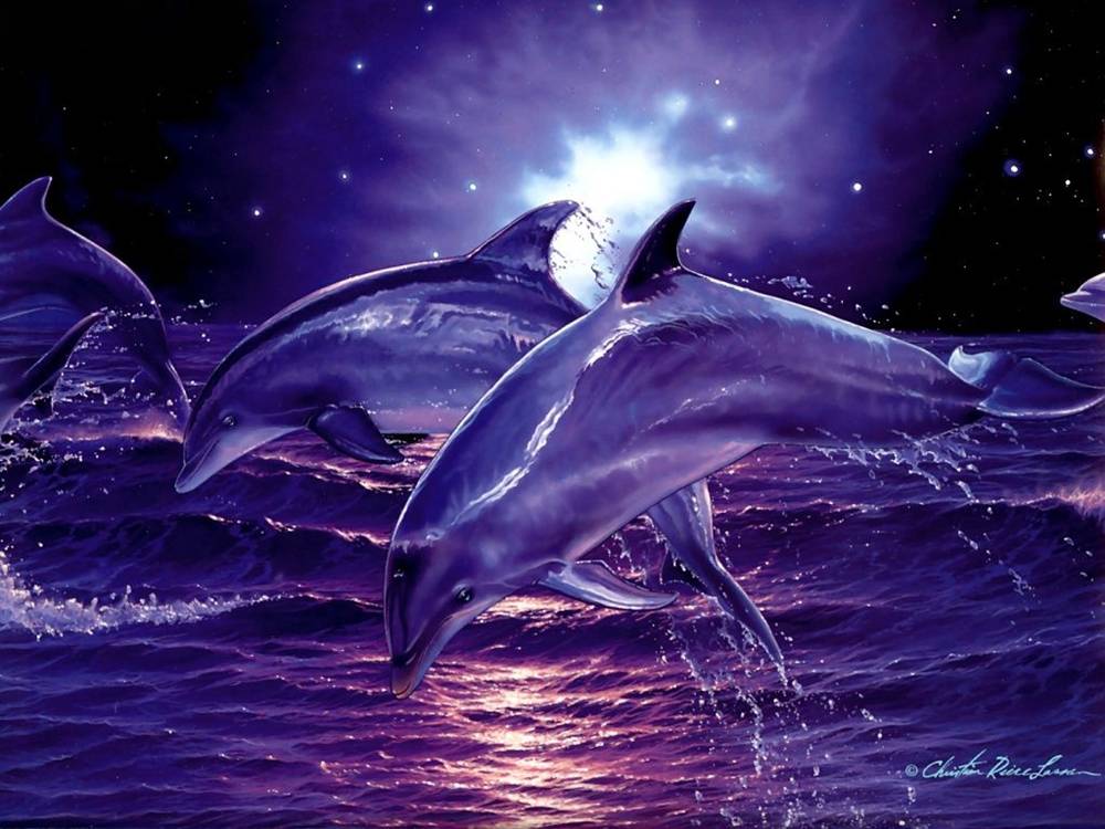 3D-HD-Wallpapers ภาพพื้นหลัง พักหน้าจอ No.18