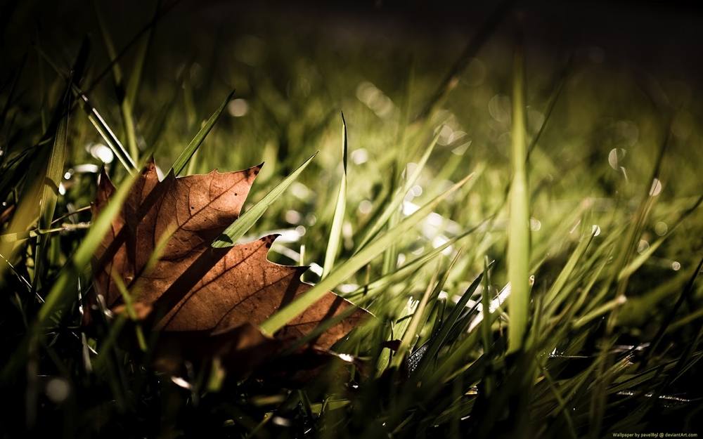 3D-HD-Wallpapers ภาพพื้นหลัง พักหน้าจอ No.19