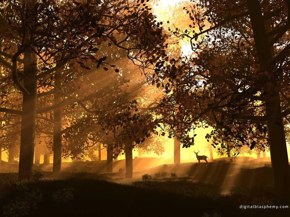 3D-HD-Wallpapers ภาพพื้นหลัง พักหน้าจอ No.19