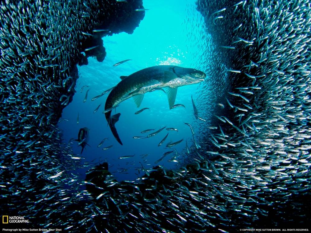 3D-HD-Wallpapers ภาพพื้นหลัง พักหน้าจอ No.19