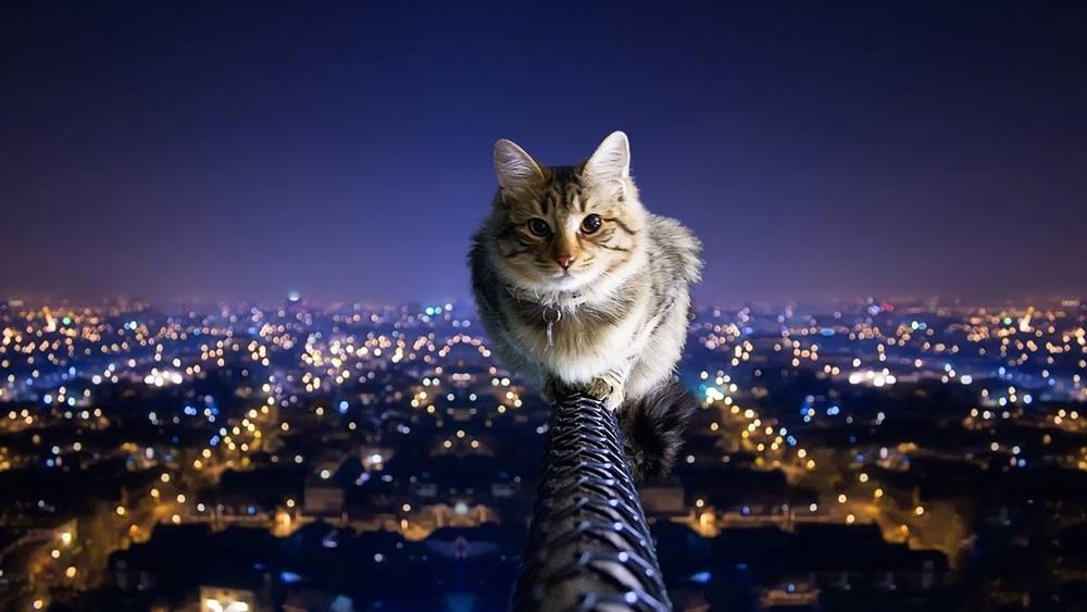 3D-HD-Wallpapers ภาพพื้นหลัง พักหน้าจอ No.20