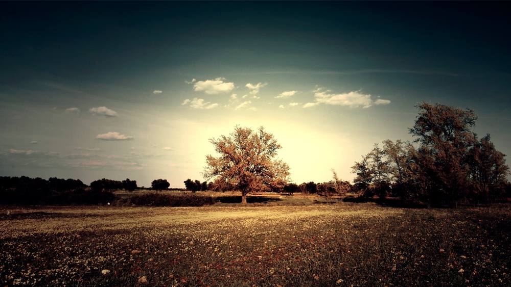 3D-HD-Wallpapers ภาพพื้นหลัง พักหน้าจอ No.20