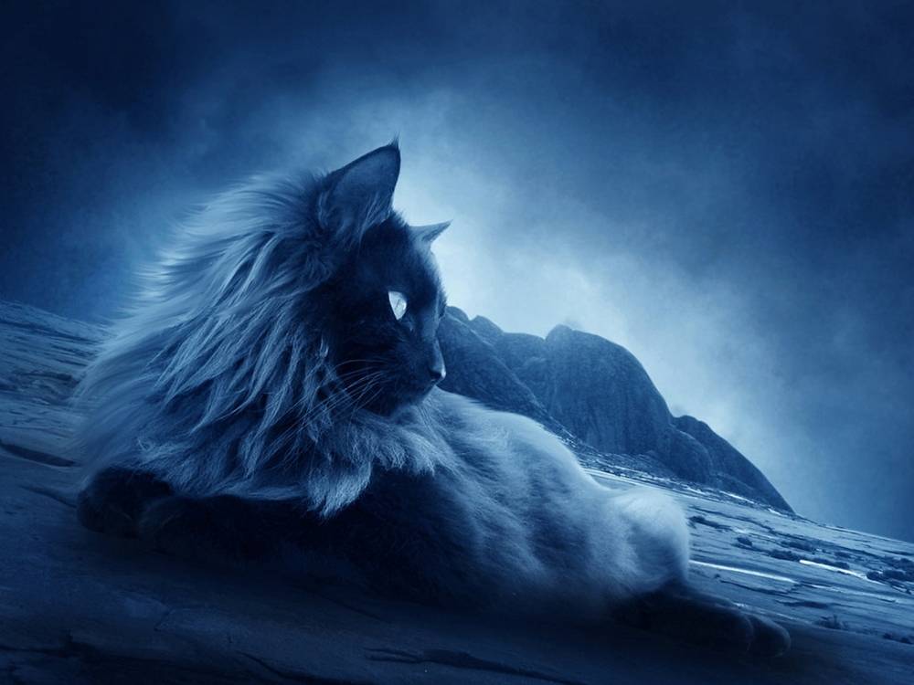 3D-HD-Wallpapers ภาพพื้นหลัง พักหน้าจอ No.20