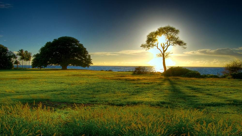 3D-HD-Wallpapers ภาพพื้นหลัง พักหน้าจอ No.20