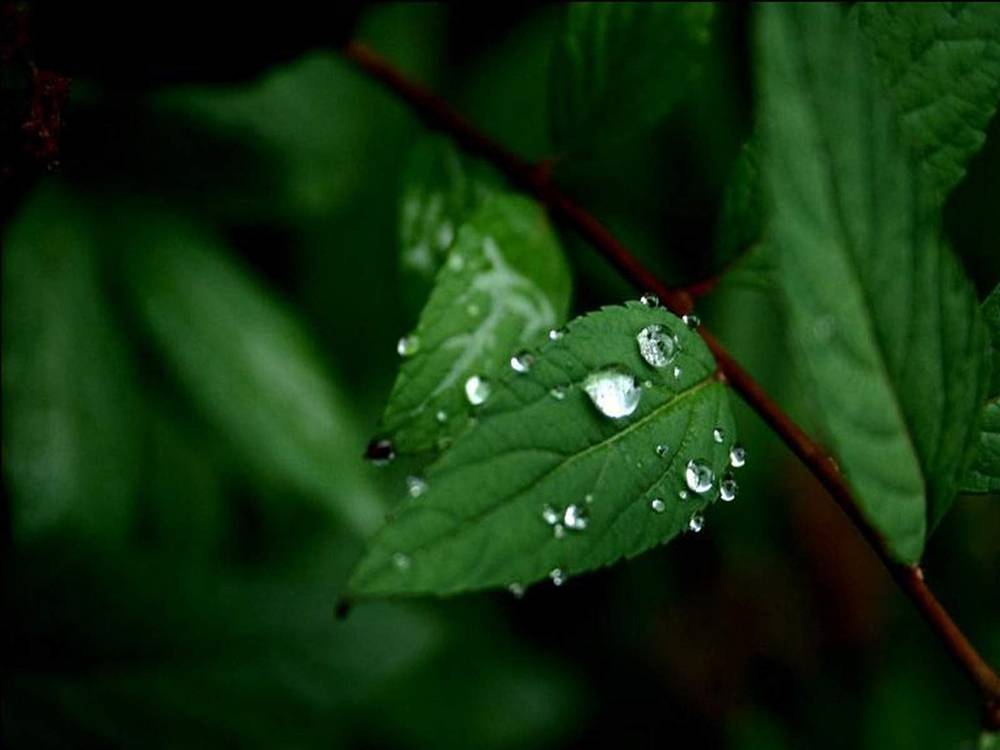 3D-HD-Wallpapers ภาพพื้นหลัง พักหน้าจอ No.21