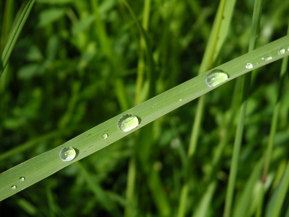 3D-HD-Wallpapers ภาพพื้นหลัง พักหน้าจอ No.21