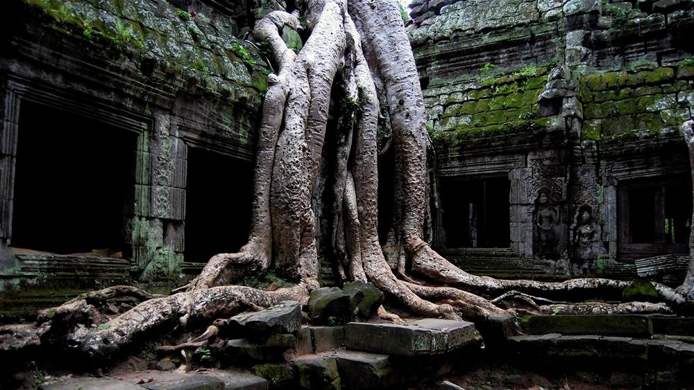 3D-HD-Wallpapers ภาพพื้นหลัง พักหน้าจอ No.22