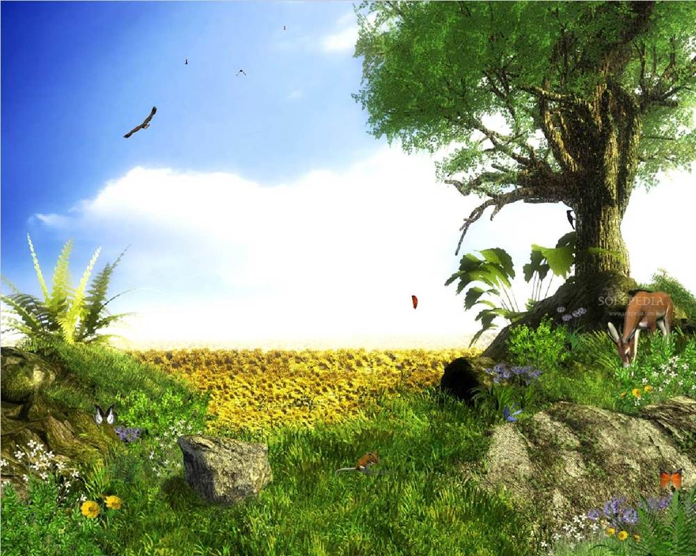 3D-HD-Wallpapers ภาพพื้นหลัง พักหน้าจอ No.23