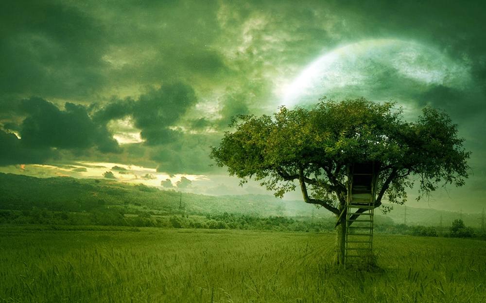 3D-HD-Wallpapers ภาพพื้นหลัง พักหน้าจอ No.23
