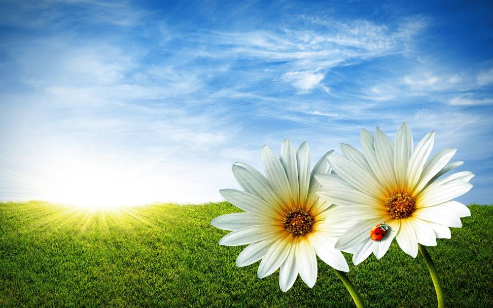 3D-HD-Wallpapers ภาพพื้นหลัง พักหน้าจอ No.23