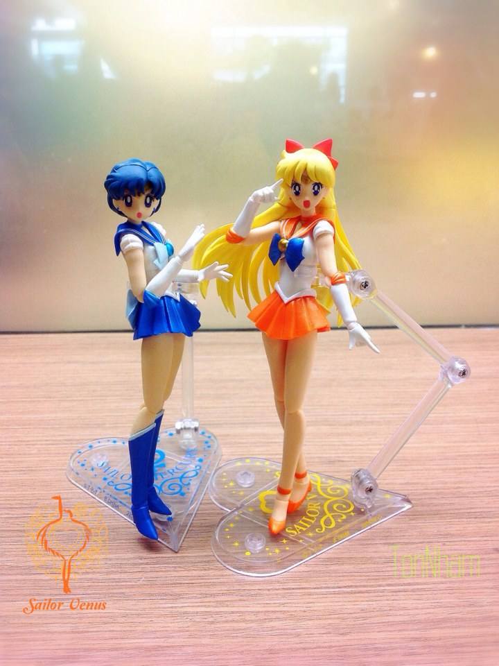 รีวิว S.H.Figuarts Sailor Venus จากBANDAIนะคร้าบ