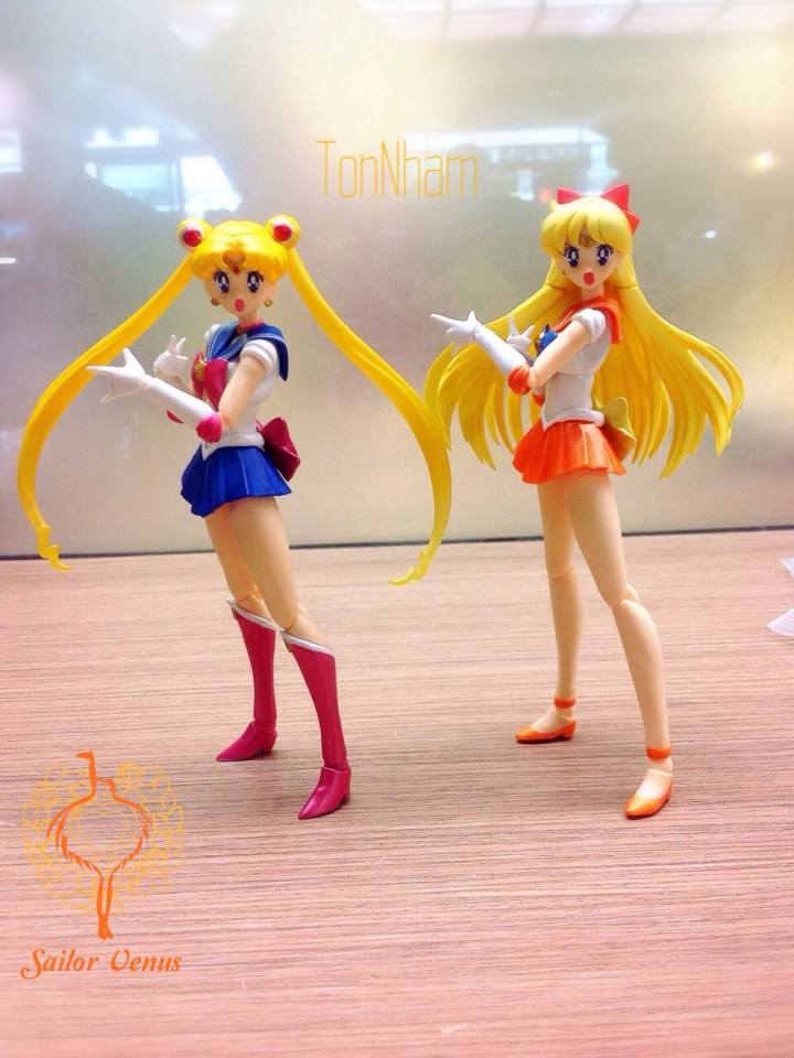 รีวิว S.H.Figuarts Sailor Venus จากBANDAIนะคร้าบ