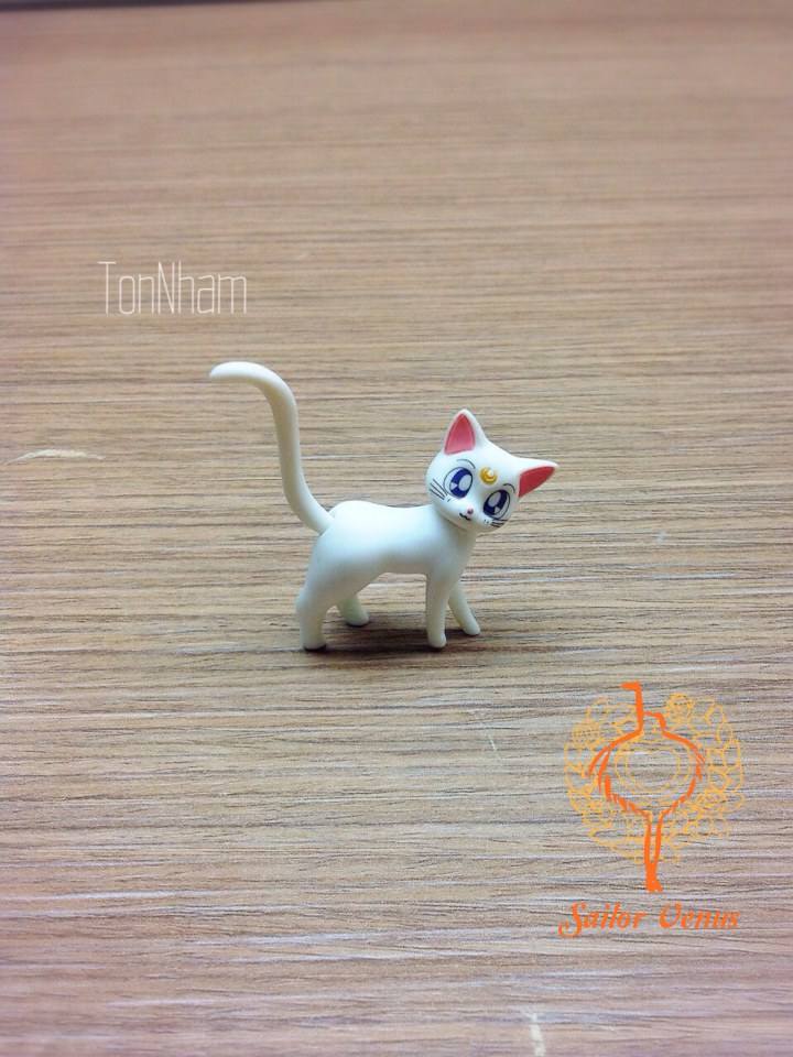 รีวิว S.H.Figuarts Sailor Venus จากBANDAIนะคร้าบ