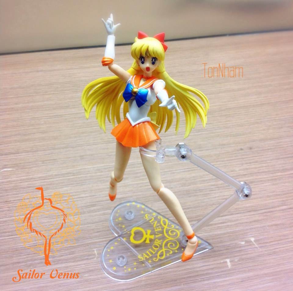 รีวิว S.H.Figuarts Sailor Venus จากBANDAIนะคร้าบ