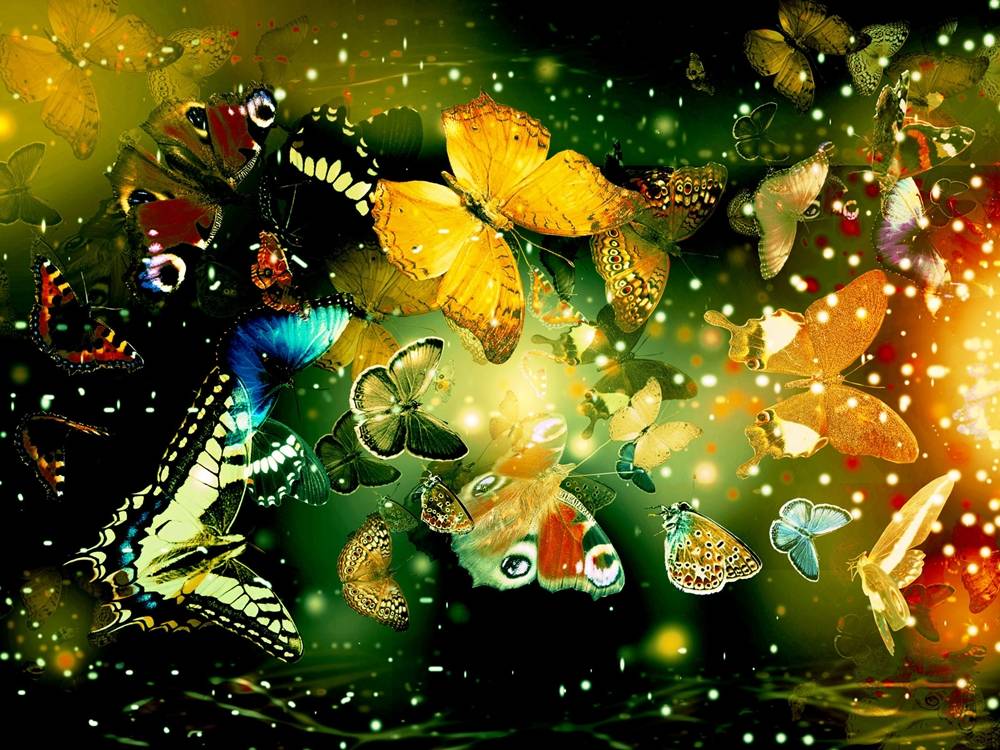 3D-HD-Wallpapers ภาพพื้นหลัง พักหน้าจอ No.25