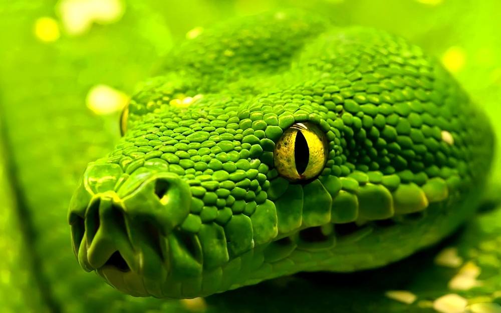 3D-HD-Wallpapers ภาพพื้นหลัง พักหน้าจอ No.25