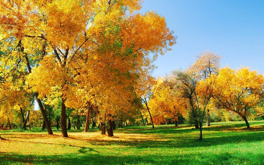 3D-HD-Wallpapers ภาพพื้นหลัง พักหน้าจอ No.26
