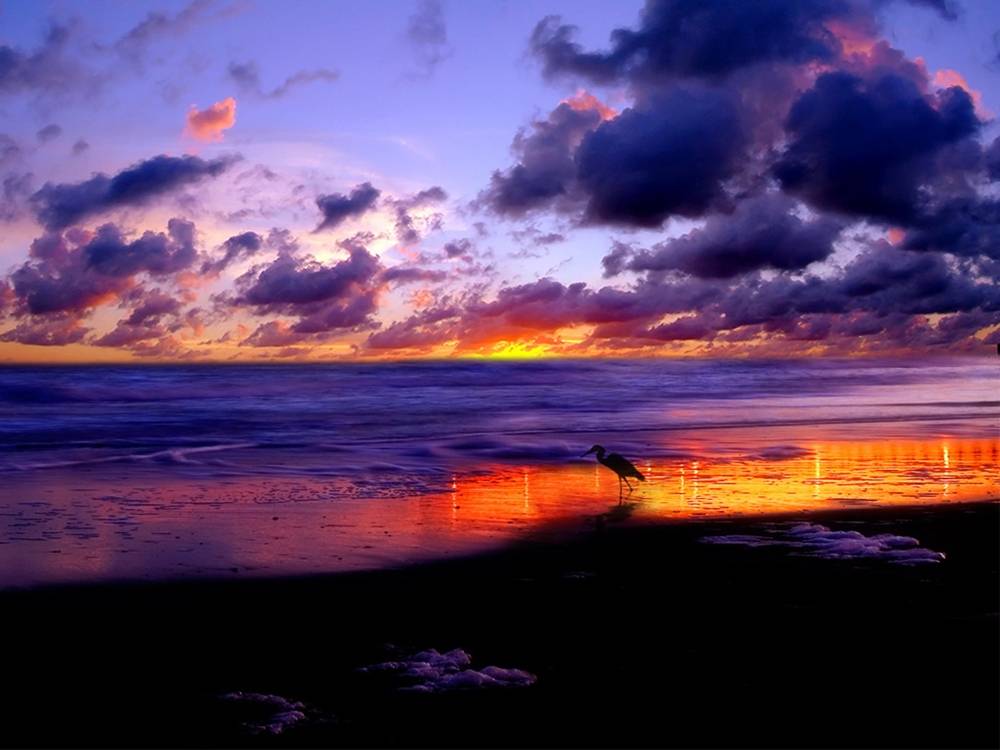 3D-HD-Wallpapers ภาพพื้นหลัง พักหน้าจอ No.26
