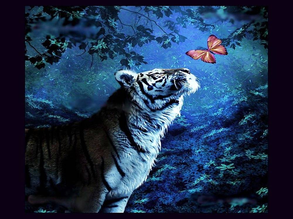3D-HD-Wallpapers-(Abstract) ภาพพื้นหลัง พักหน้าจอ No.30