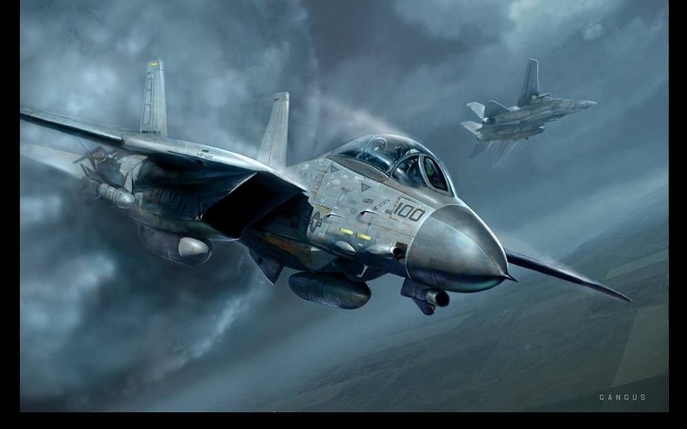F 14