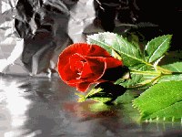 ฟรีสอนลีลาศ เพื่อสุขภาพและสังคม