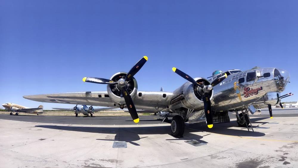 B 17