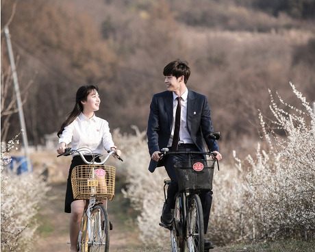 Doctor Stranger