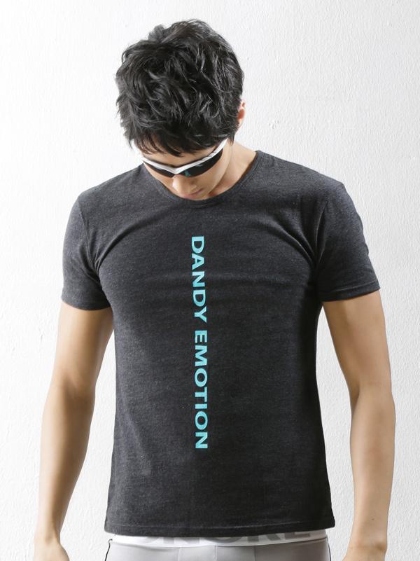 หนุ่มเสื้อดำ