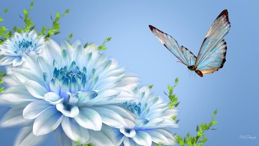 3D-HD-Wallpapers-Background ภาพพื้นหลัง พักหน้าจอ No.32