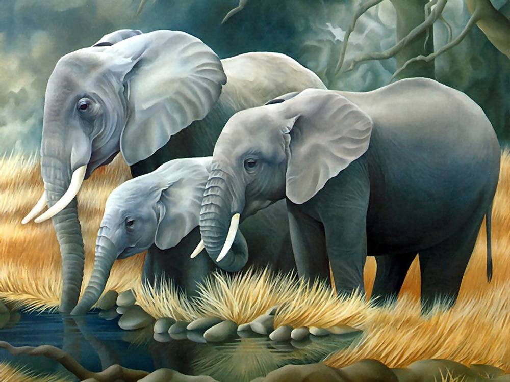 3D-HD-Wallpapers-(Animal)ภาพพื้นหลัง พักหน้าจอ No.1