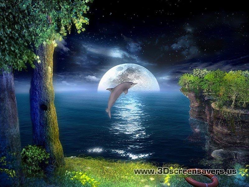 3D-HD-Wallpapers-(Animal)ภาพพื้นหลัง พักหน้าจอ No.2