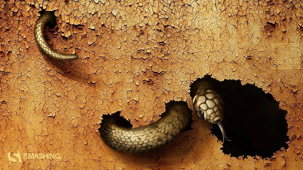 3D-HD-Wallpapers-(Animal)ภาพพื้นหลัง พักหน้าจอ No.2