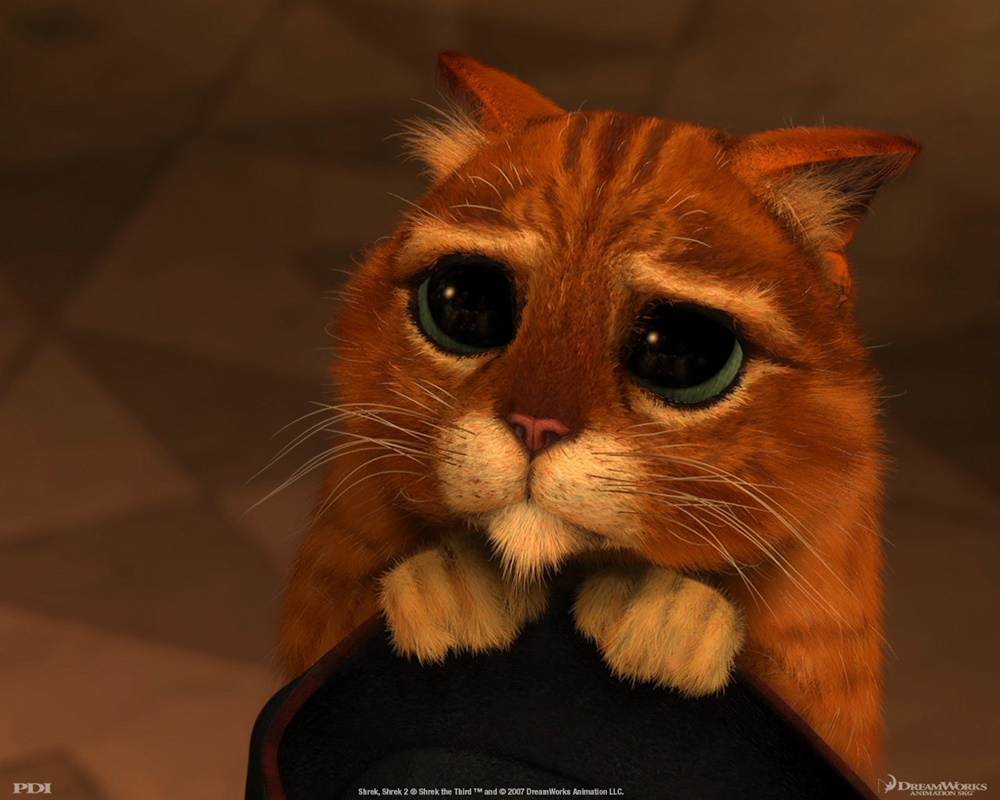 3D-HD-Wallpapers-(Animal)ภาพพื้นหลัง พักหน้าจอ No.3