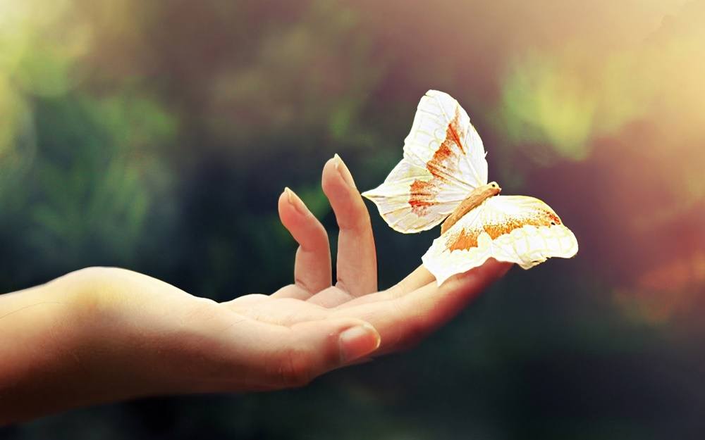 3D-HD-Wallpapers-(Animal)ภาพพื้นหลัง พักหน้าจอ No.3