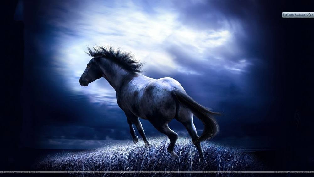 3D-HD-Wallpapers-(Animal)ภาพพื้นหลัง พักหน้าจอ No.4