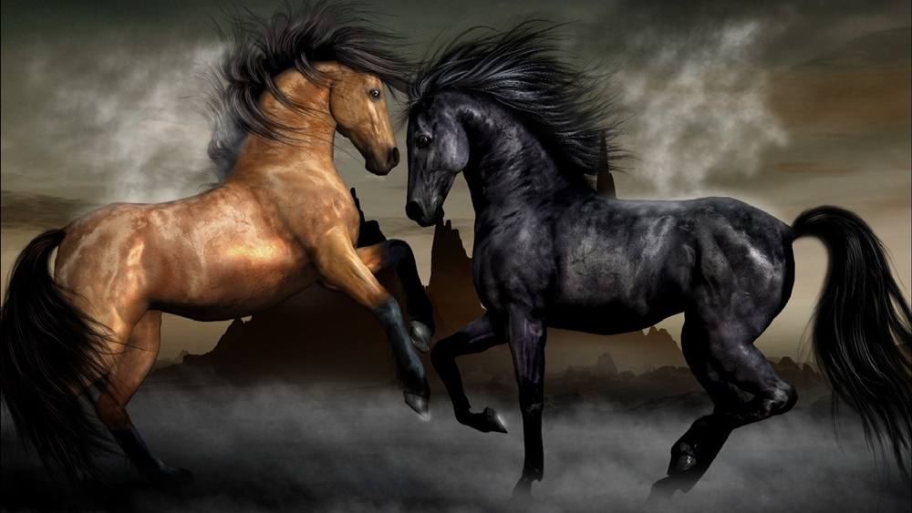 3D-HD-Wallpapers-(Animal)ภาพพื้นหลัง พักหน้าจอ No.4