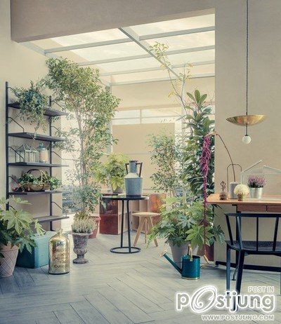 คนรัก บ้าน และภายใน 217