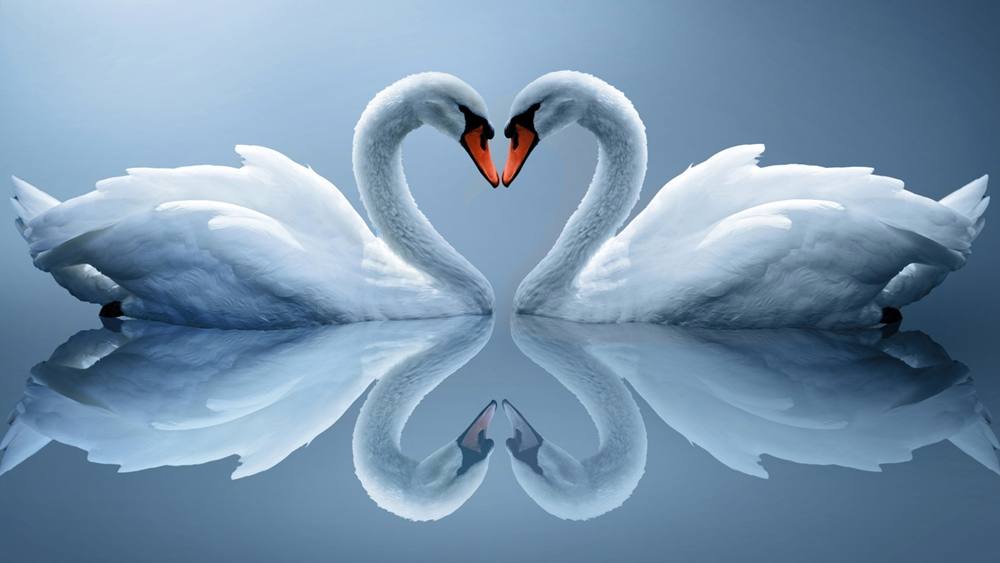 (Love&Valentine)3D-Wallpapers-Backgroundsภาพพื้นหลัง พักหน้าจอ No.2