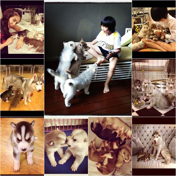น้องอชิ